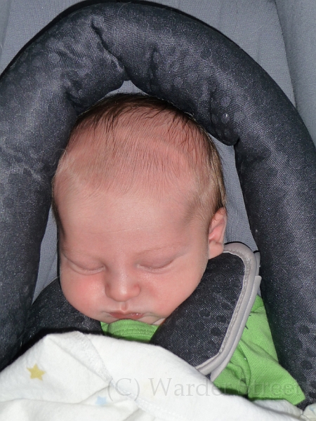 William's First Week 18.jpg